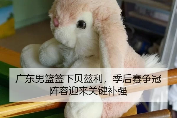 广东男篮签下贝兹利，季后赛争冠阵容迎来关键补强