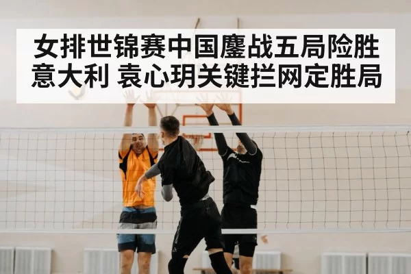 volleyball block net