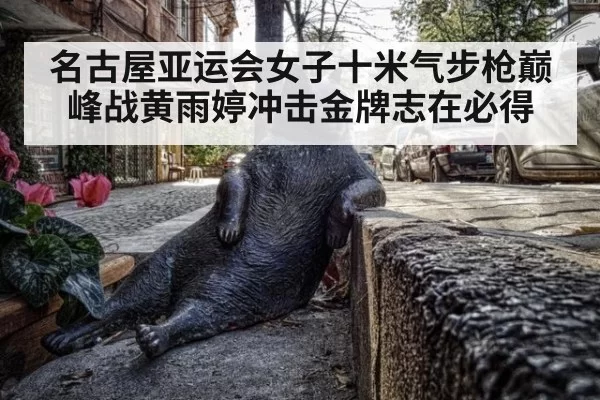 名古屋亚运会女子十米气步枪巅峰战黄雨婷冲击金牌志在必得